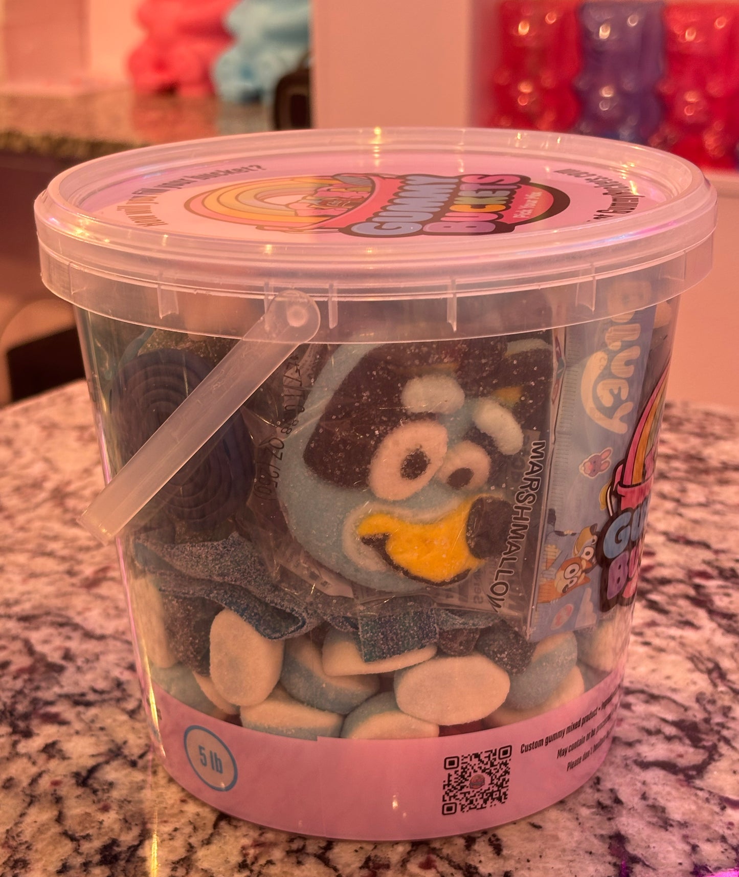 5 Pound Bucket of Bluey and friends themed Gummy Candy from Gummy Buckets.  Lots of Blule!